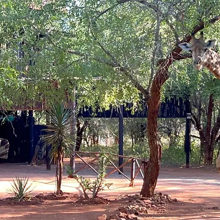 Kruger Kumba - Mugwenzi Villa Marloth Park Exterior photo