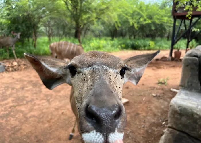 Kruger Kumba - Mugwenzi