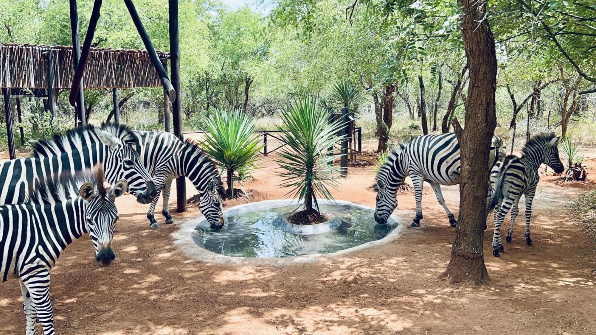 Ferienhaus Kruger Kumba - Mugwenzi