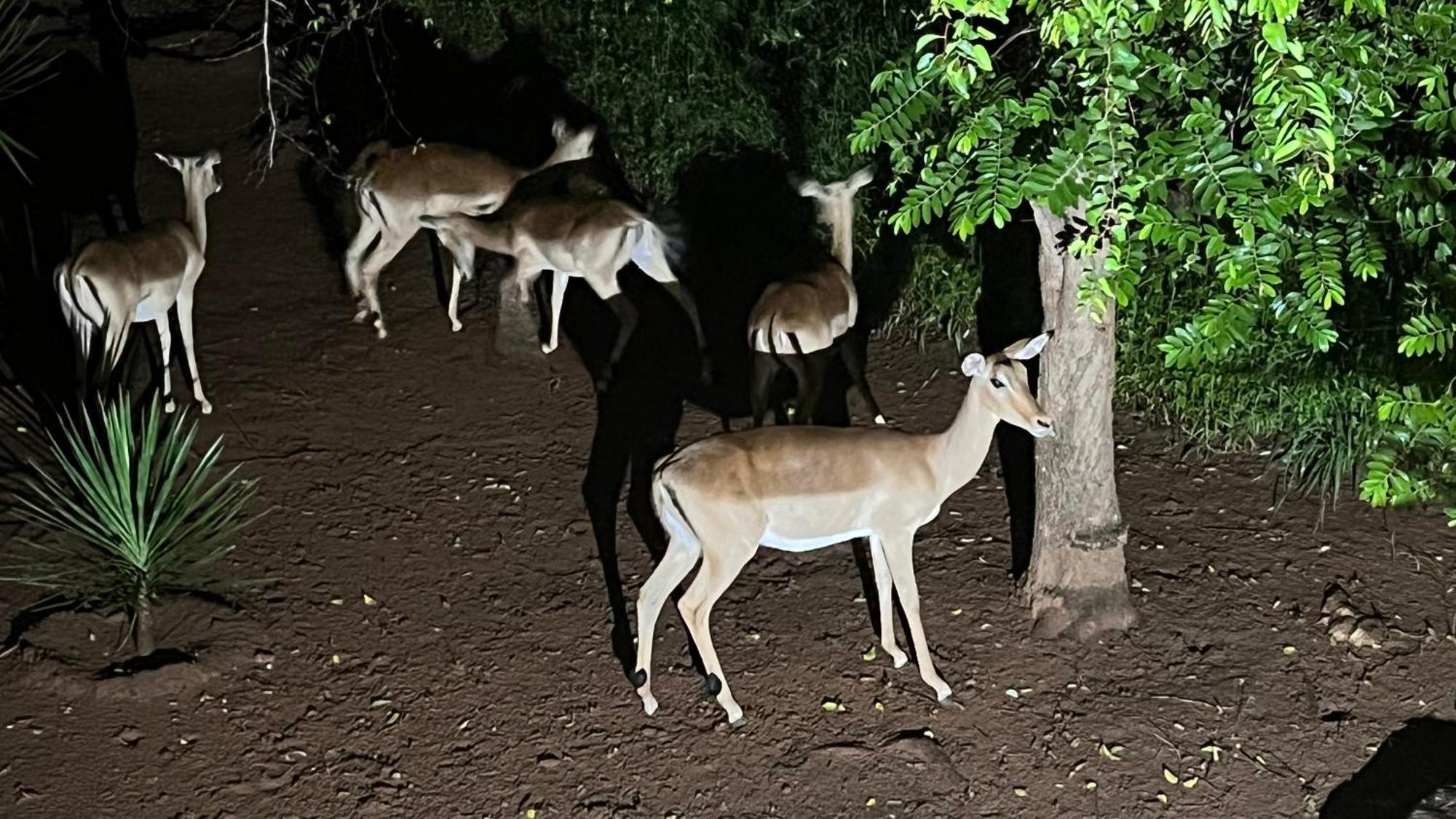 Kruger Kumba - Mugwenzi *