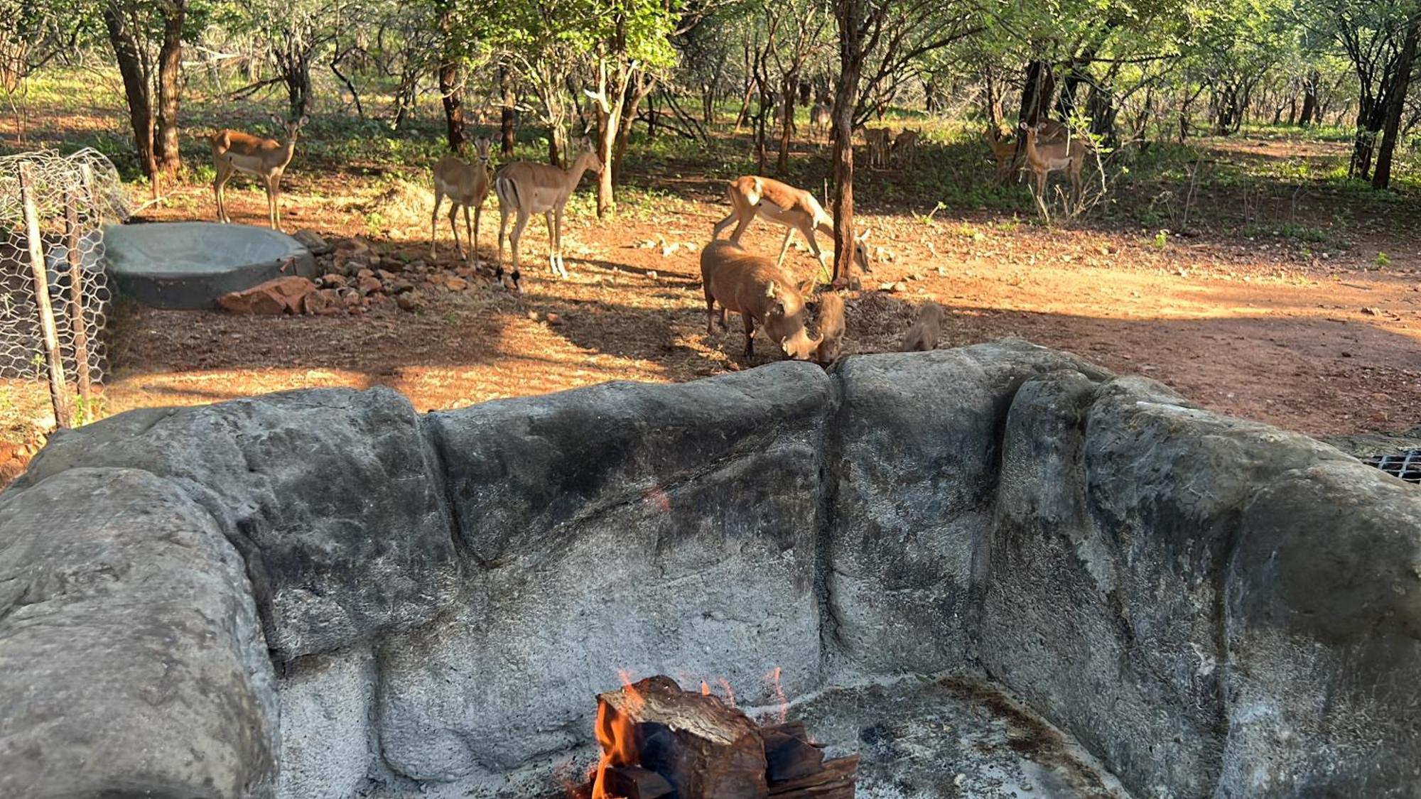 Kruger Kumba - Mugwenzi *