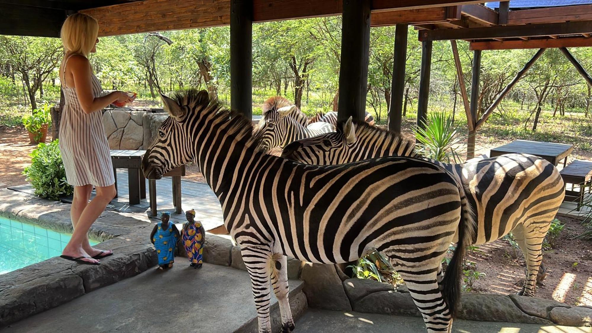 Kruger Kumba - Mugwenzi Ferienhaus *